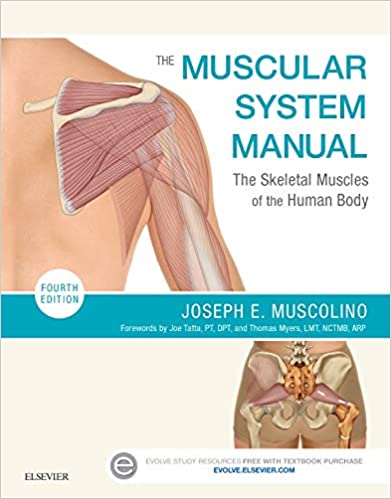 The Muscular System Manual: The Skeletal Muscles of the Human Body (4th Edition) - Original PDF